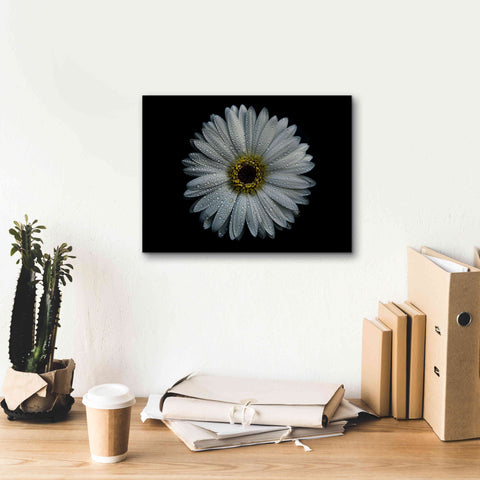 Image of 'Backyard Flowers 71 Color Version' by Brian Carson, Giclee Canvas Wall Art,16 x 12