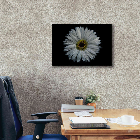 Image of 'Backyard Flowers 71 Color Version' by Brian Carson, Giclee Canvas Wall Art,26 x 18