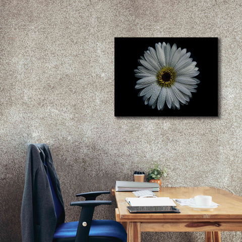 Image of 'Backyard Flowers 71 Color Version' by Brian Carson, Giclee Canvas Wall Art,34 x 26