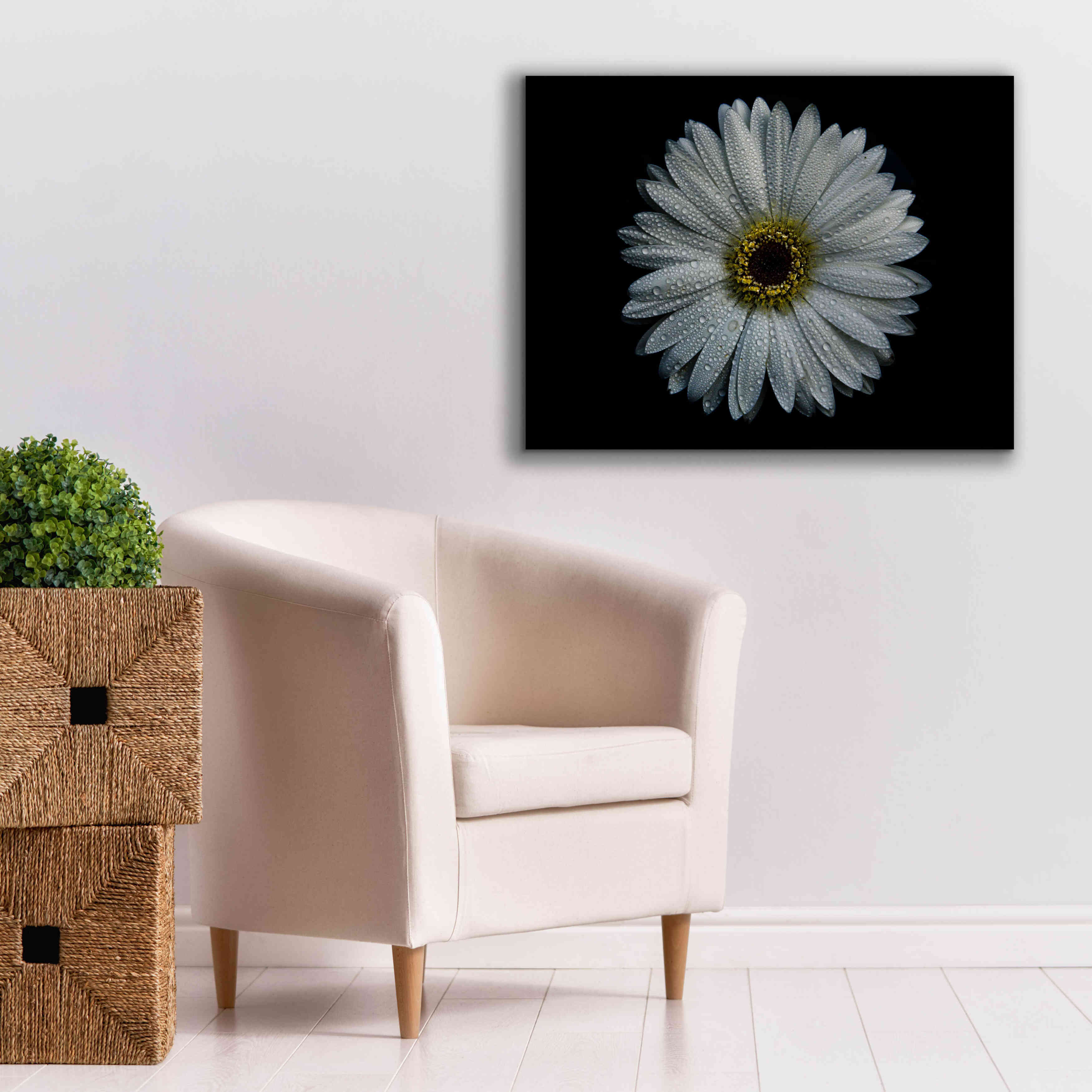 'Backyard Flowers 71 Color Version' by Brian Carson, Giclee Canvas Wall Art,34 x 26
