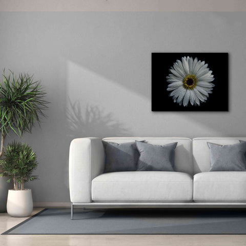 Image of 'Backyard Flowers 71 Color Version' by Brian Carson, Giclee Canvas Wall Art,34 x 26
