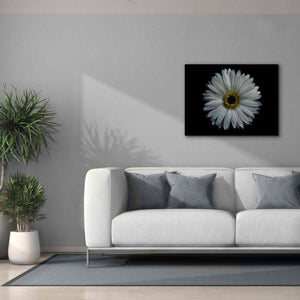 'Backyard Flowers 71 Color Version' by Brian Carson, Giclee Canvas Wall Art,34 x 26