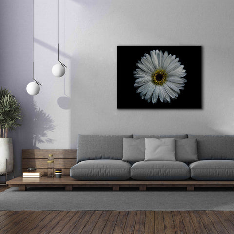 Image of 'Backyard Flowers 71 Color Version' by Brian Carson, Giclee Canvas Wall Art,54 x 40