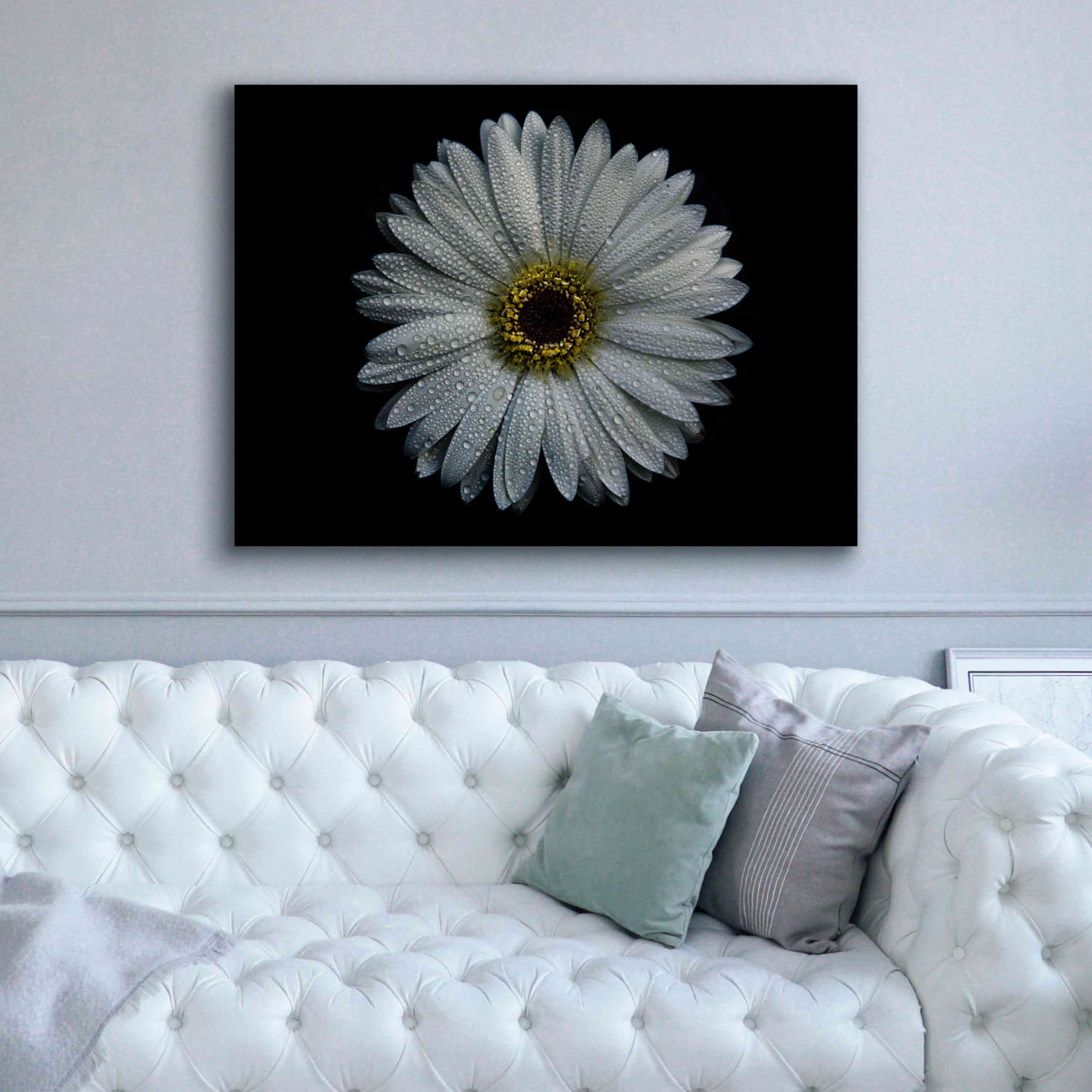 'Backyard Flowers 71 Color Version' by Brian Carson, Giclee Canvas Wall Art,54 x 40
