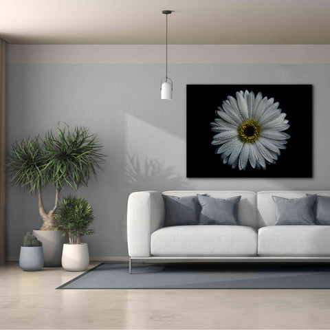 Image of 'Backyard Flowers 71 Color Version' by Brian Carson, Giclee Canvas Wall Art,54 x 40
