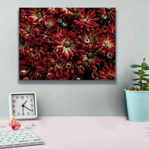 'Backyard Flowers 88 Color Version' by Brian Carson, Giclee Canvas Wall Art,16 x 12