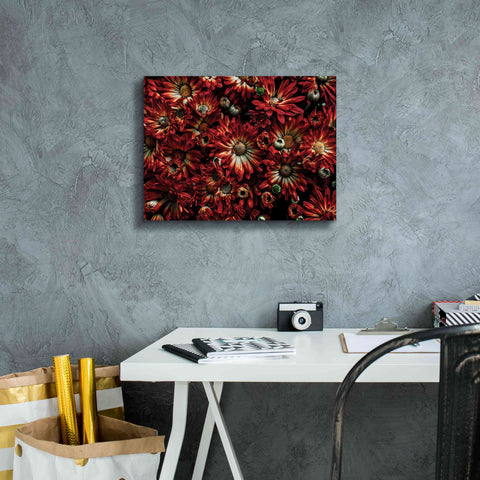 Image of 'Backyard Flowers 88 Color Version' by Brian Carson, Giclee Canvas Wall Art,16 x 12