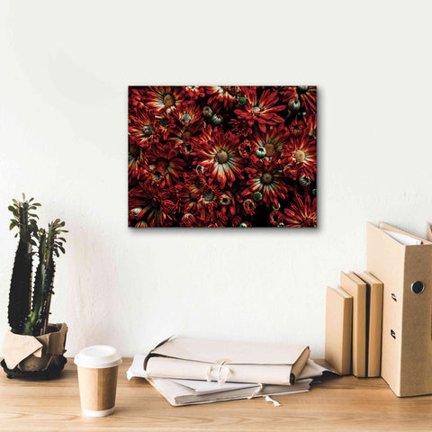 Image of 'Backyard Flowers 88 Color Version' by Brian Carson, Giclee Canvas Wall Art,16 x 12