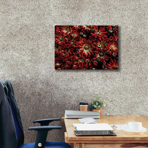 Image of 'Backyard Flowers 88 Color Version' by Brian Carson, Giclee Canvas Wall Art,26 x 18