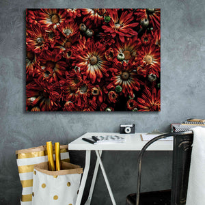 'Backyard Flowers 88 Color Version' by Brian Carson, Giclee Canvas Wall Art,34 x 26