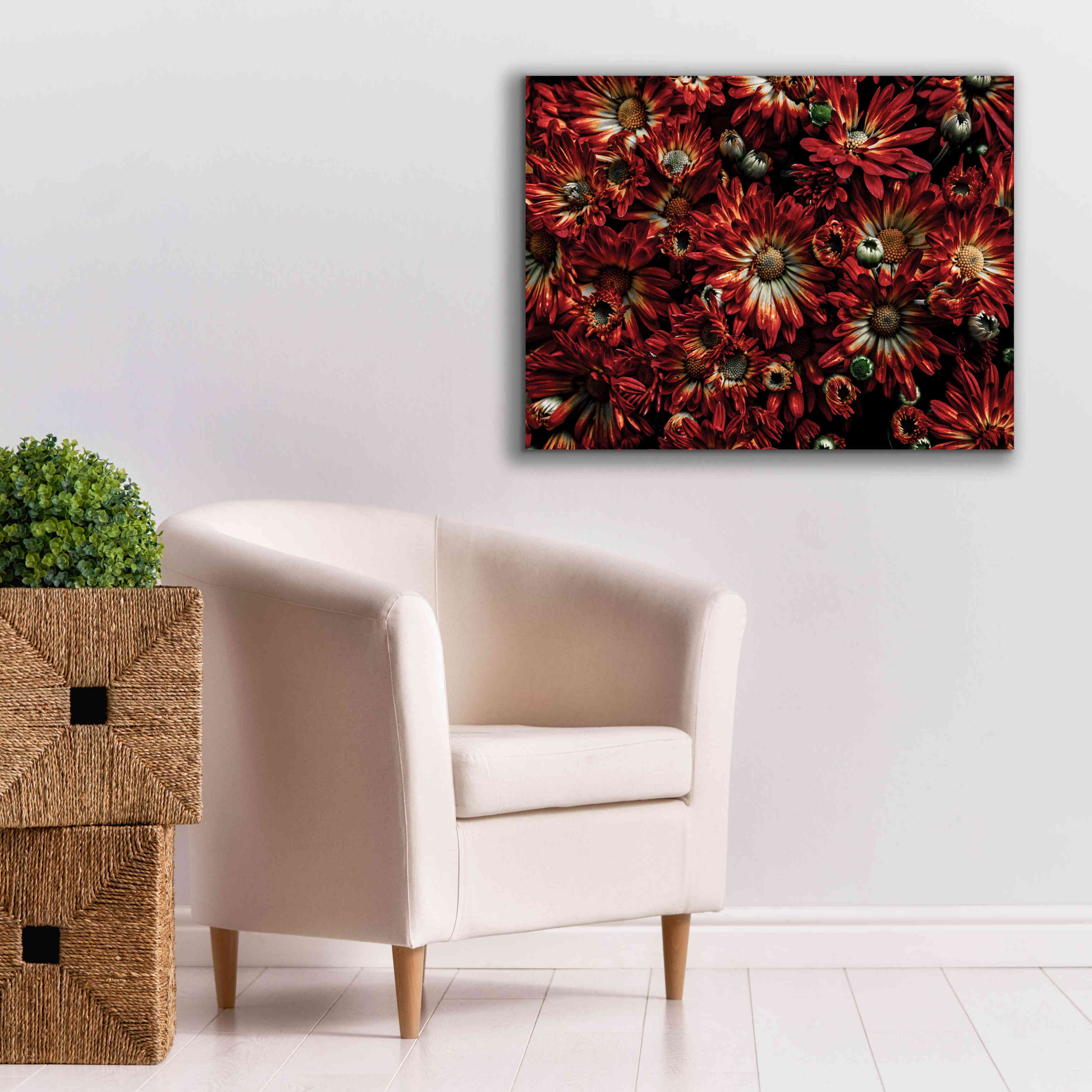 'Backyard Flowers 88 Color Version' by Brian Carson, Giclee Canvas Wall Art,34 x 26
