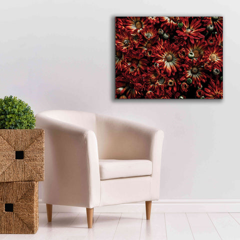 Image of 'Backyard Flowers 88 Color Version' by Brian Carson, Giclee Canvas Wall Art,34 x 26