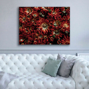 'Backyard Flowers 88 Color Version' by Brian Carson, Giclee Canvas Wall Art,54 x 40