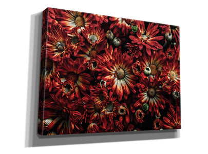 'Backyard Flowers 88 Color Version' by Brian Carson, Giclee Canvas Wall Art