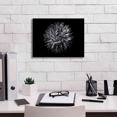 Image of 'Backyard Flowers In Black And White 20' by Brian Carson, Giclee Canvas Wall Art,16 x 12
