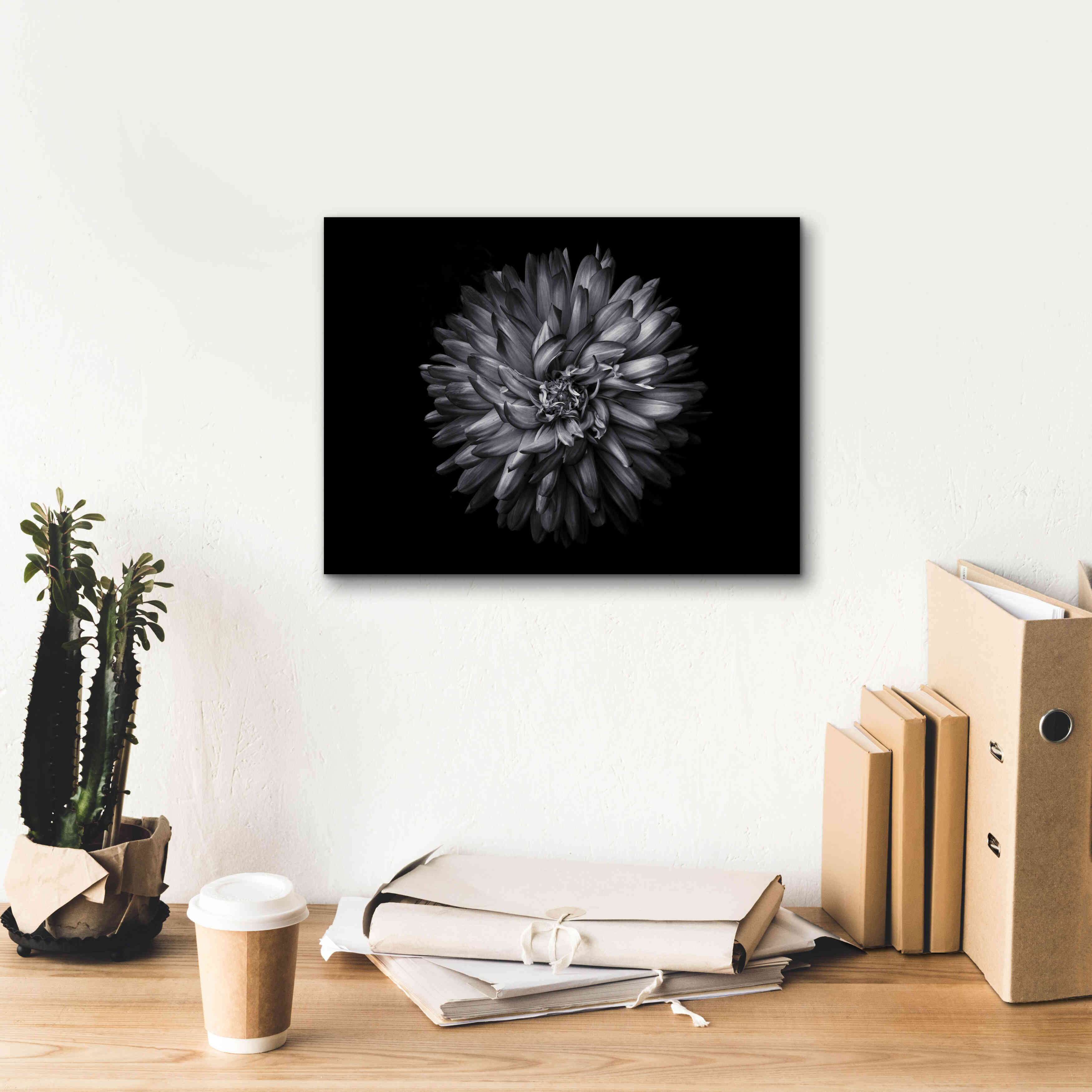 'Backyard Flowers In Black And White 20' by Brian Carson, Giclee Canvas Wall Art,16 x 12