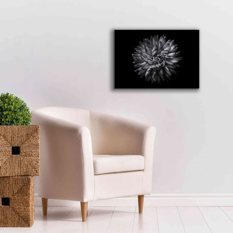 Image of 'Backyard Flowers In Black And White 20' by Brian Carson, Giclee Canvas Wall Art,26 x 18