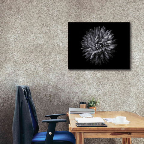 Image of 'Backyard Flowers In Black And White 20' by Brian Carson, Giclee Canvas Wall Art,34 x 26