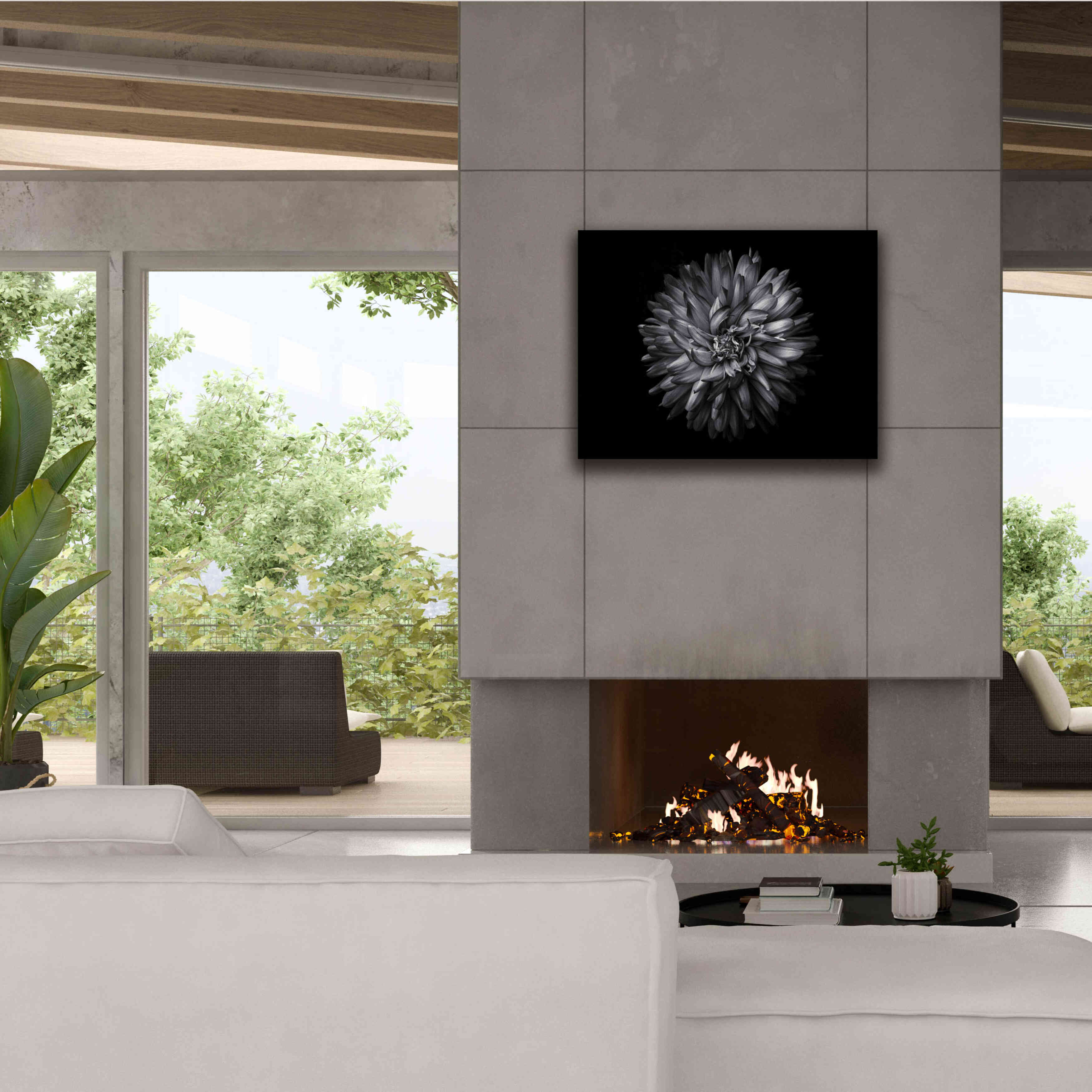 'Backyard Flowers In Black And White 20' by Brian Carson, Giclee Canvas Wall Art,34 x 26