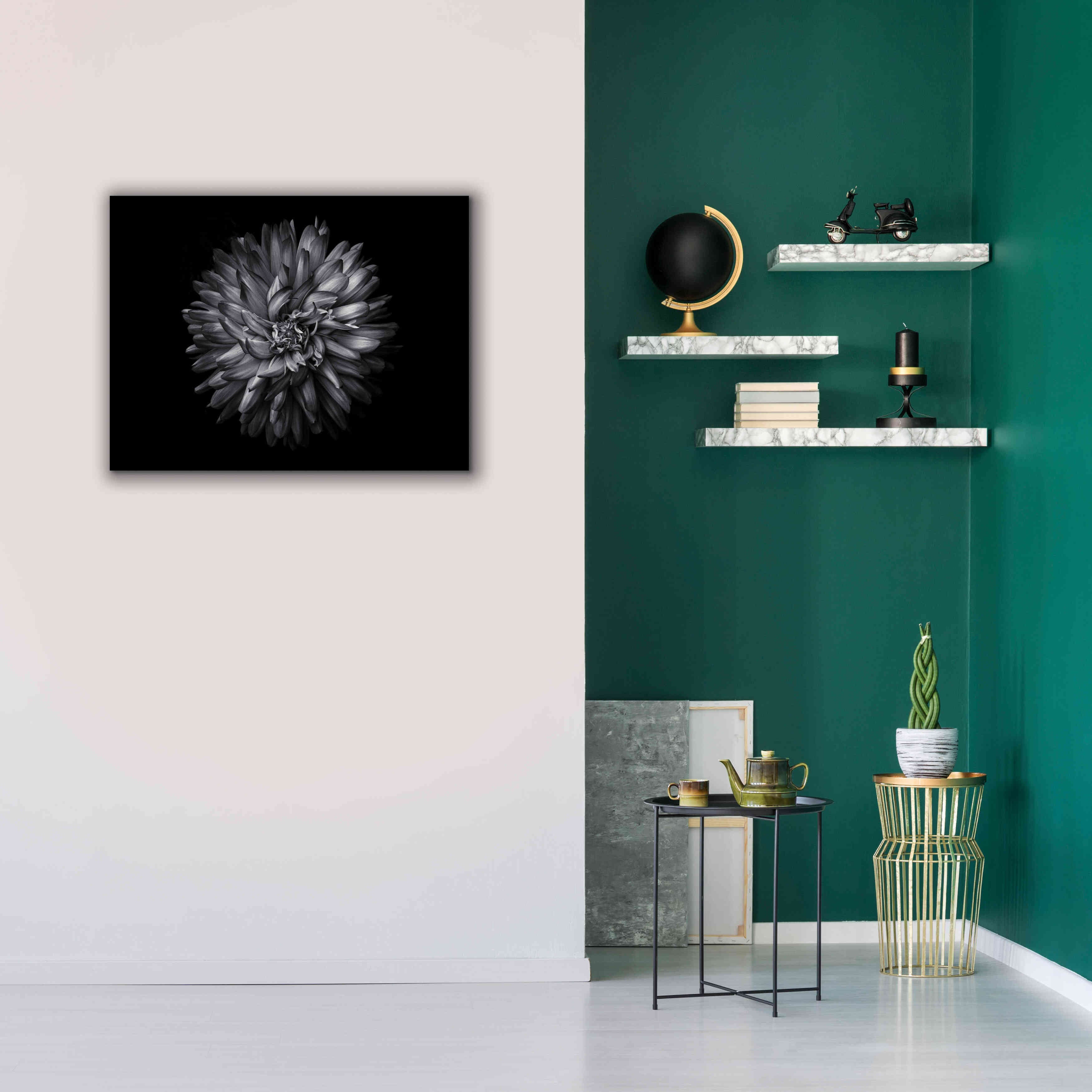 'Backyard Flowers In Black And White 20' by Brian Carson, Giclee Canvas Wall Art,34 x 26