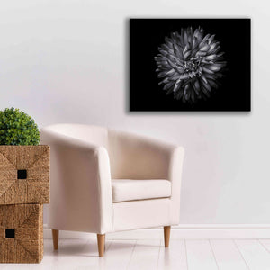 'Backyard Flowers In Black And White 20' by Brian Carson, Giclee Canvas Wall Art,34 x 26