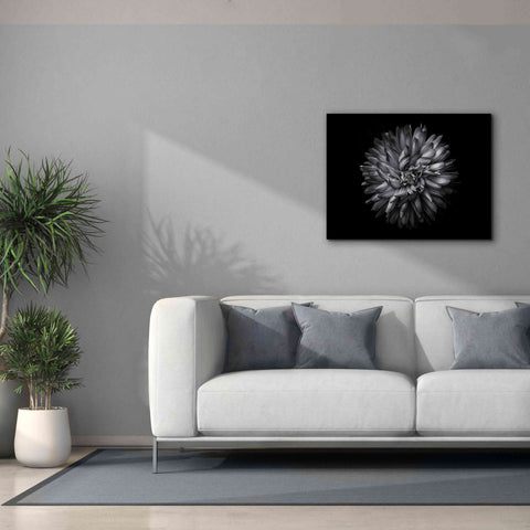 Image of 'Backyard Flowers In Black And White 20' by Brian Carson, Giclee Canvas Wall Art,34 x 26