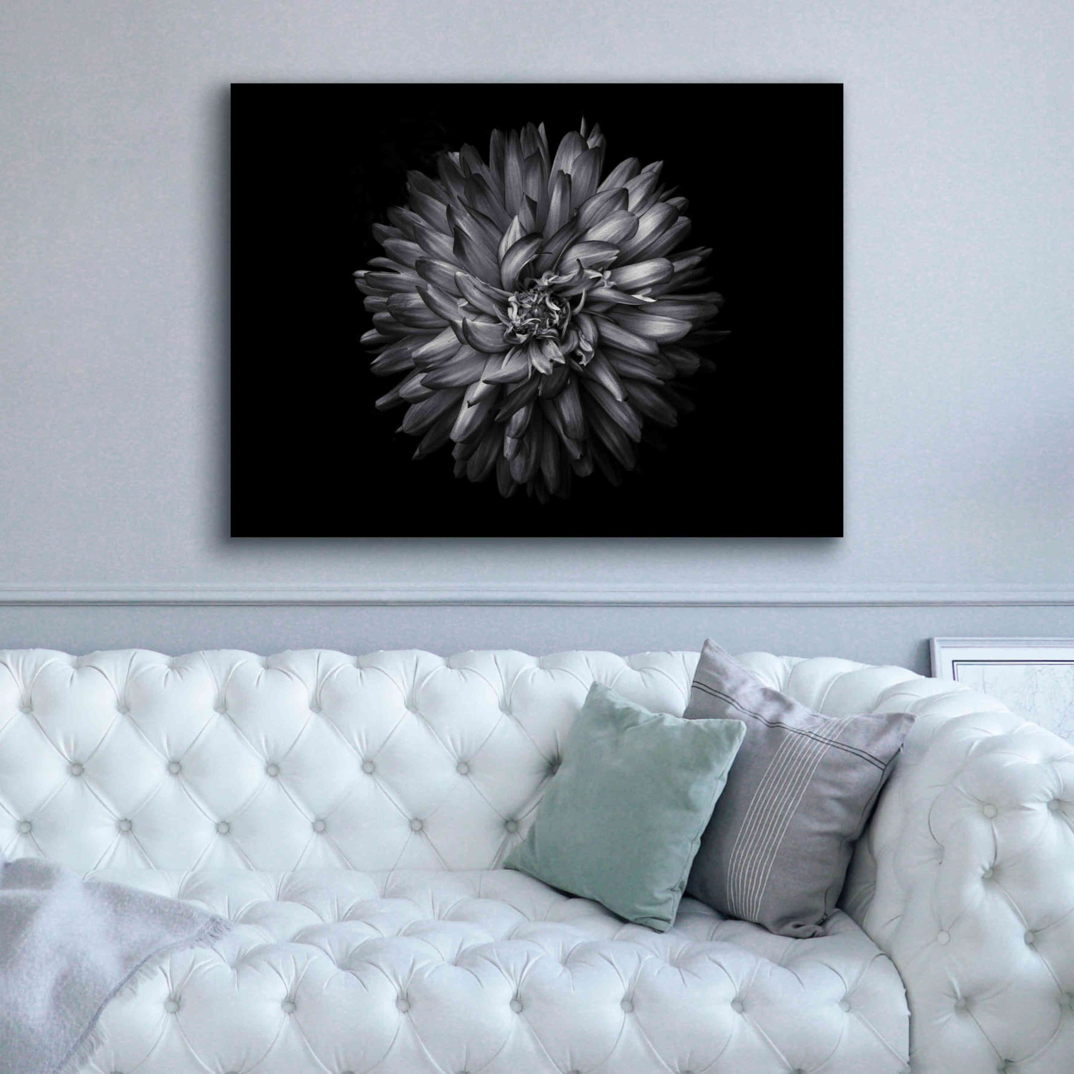 'Backyard Flowers In Black And White 20' by Brian Carson, Giclee Canvas Wall Art,54 x 40