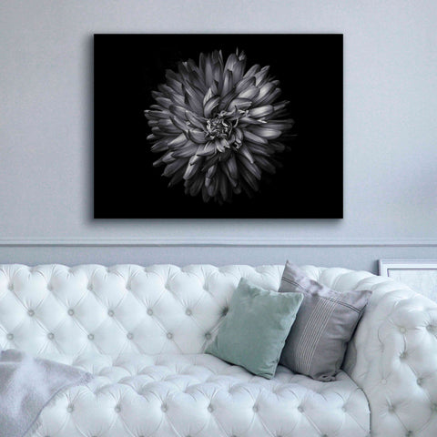 Image of 'Backyard Flowers In Black And White 20' by Brian Carson, Giclee Canvas Wall Art,54 x 40