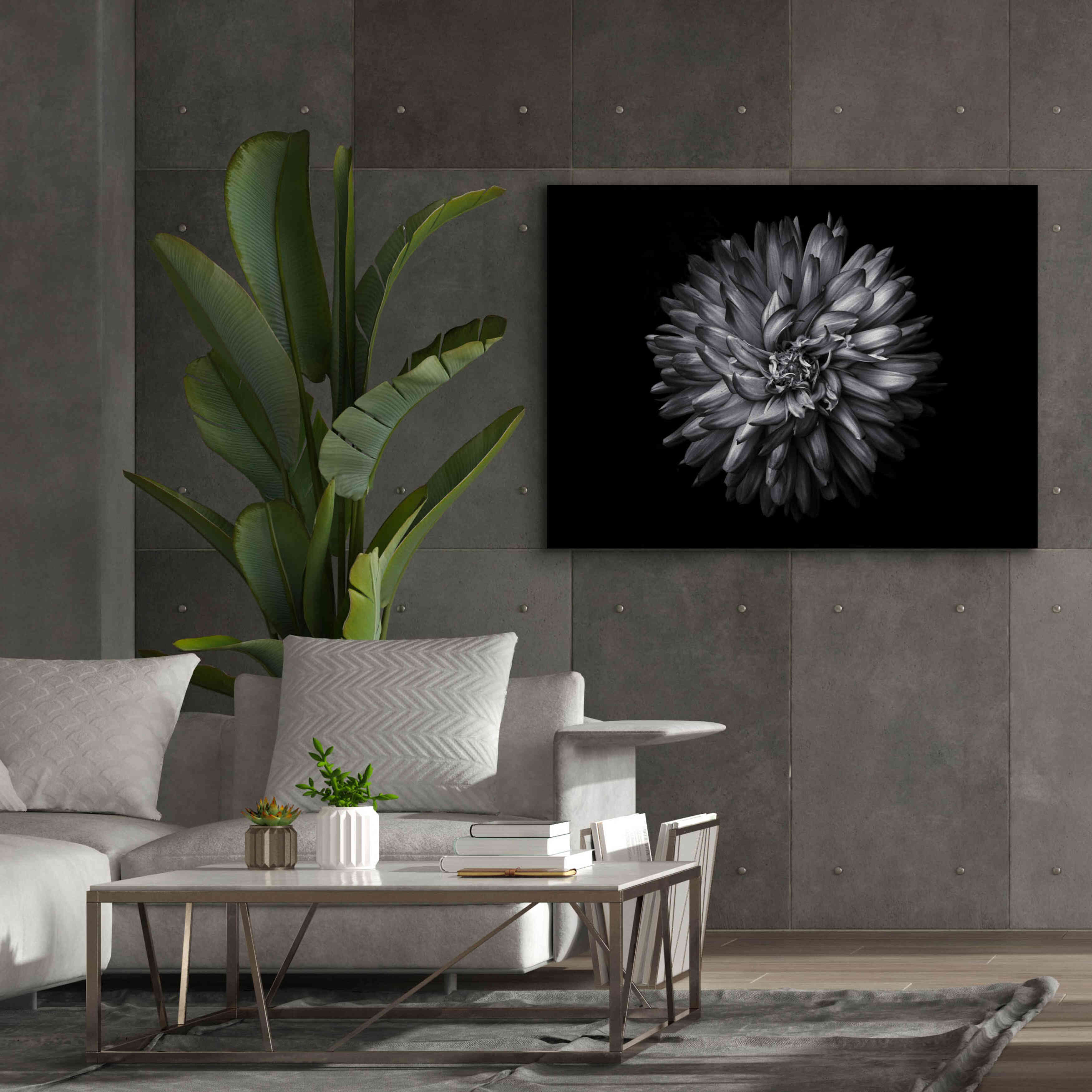 'Backyard Flowers In Black And White 20' by Brian Carson, Giclee Canvas Wall Art,54 x 40