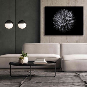 'Backyard Flowers In Black And White 20' by Brian Carson, Giclee Canvas Wall Art,54 x 40