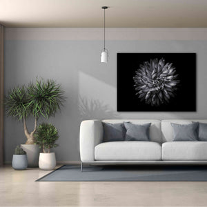 'Backyard Flowers In Black And White 20' by Brian Carson, Giclee Canvas Wall Art,54 x 40