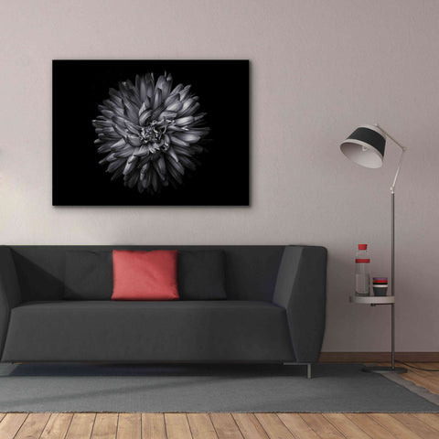 Image of 'Backyard Flowers In Black And White 20' by Brian Carson, Giclee Canvas Wall Art,54 x 40