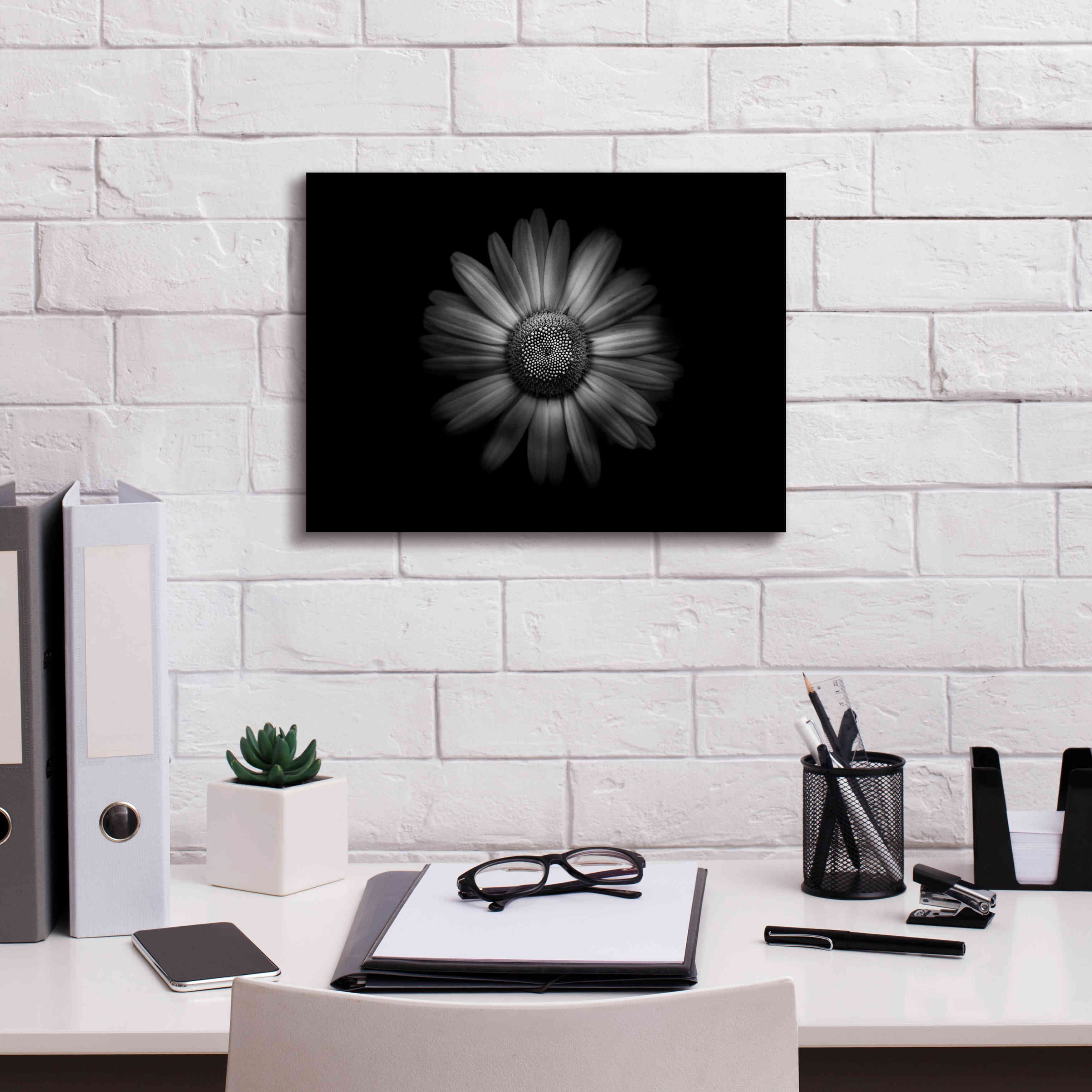 'Backyard Flowers In Black And White 31' by Brian Carson, Giclee Canvas Wall Art,16 x 12
