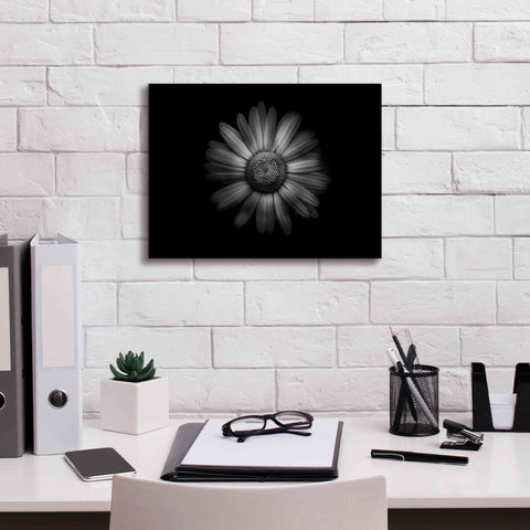 Image of 'Backyard Flowers In Black And White 31' by Brian Carson, Giclee Canvas Wall Art,16 x 12