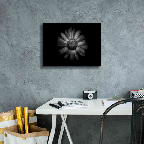 Image of 'Backyard Flowers In Black And White 31' by Brian Carson, Giclee Canvas Wall Art,16 x 12