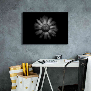 'Backyard Flowers In Black And White 31' by Brian Carson, Giclee Canvas Wall Art,26 x 18