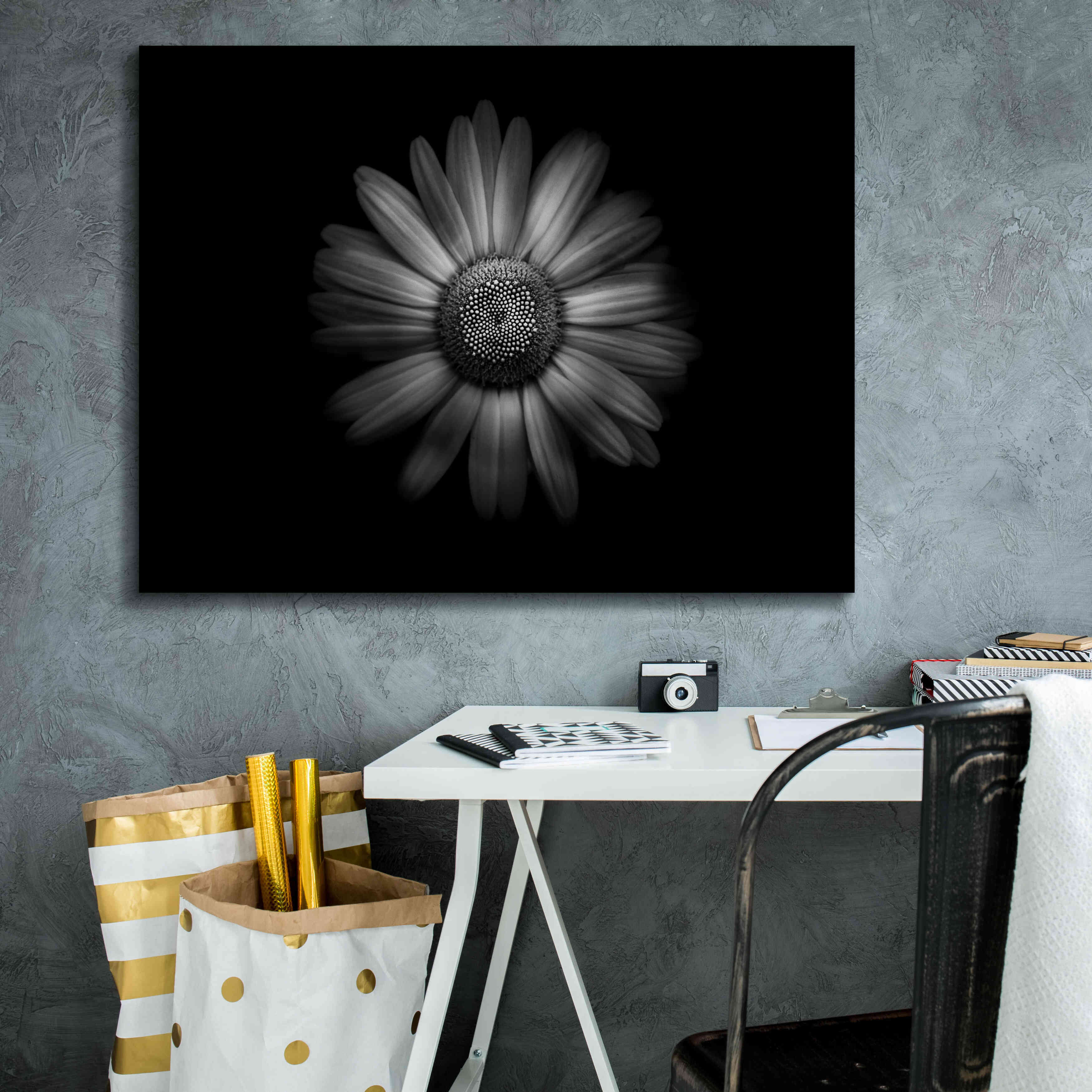 'Backyard Flowers In Black And White 31' by Brian Carson, Giclee Canvas Wall Art,34 x 26