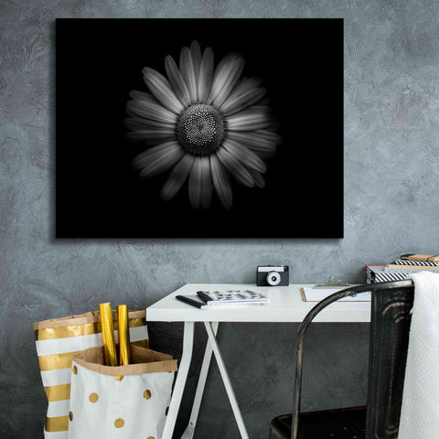 Image of 'Backyard Flowers In Black And White 31' by Brian Carson, Giclee Canvas Wall Art,34 x 26