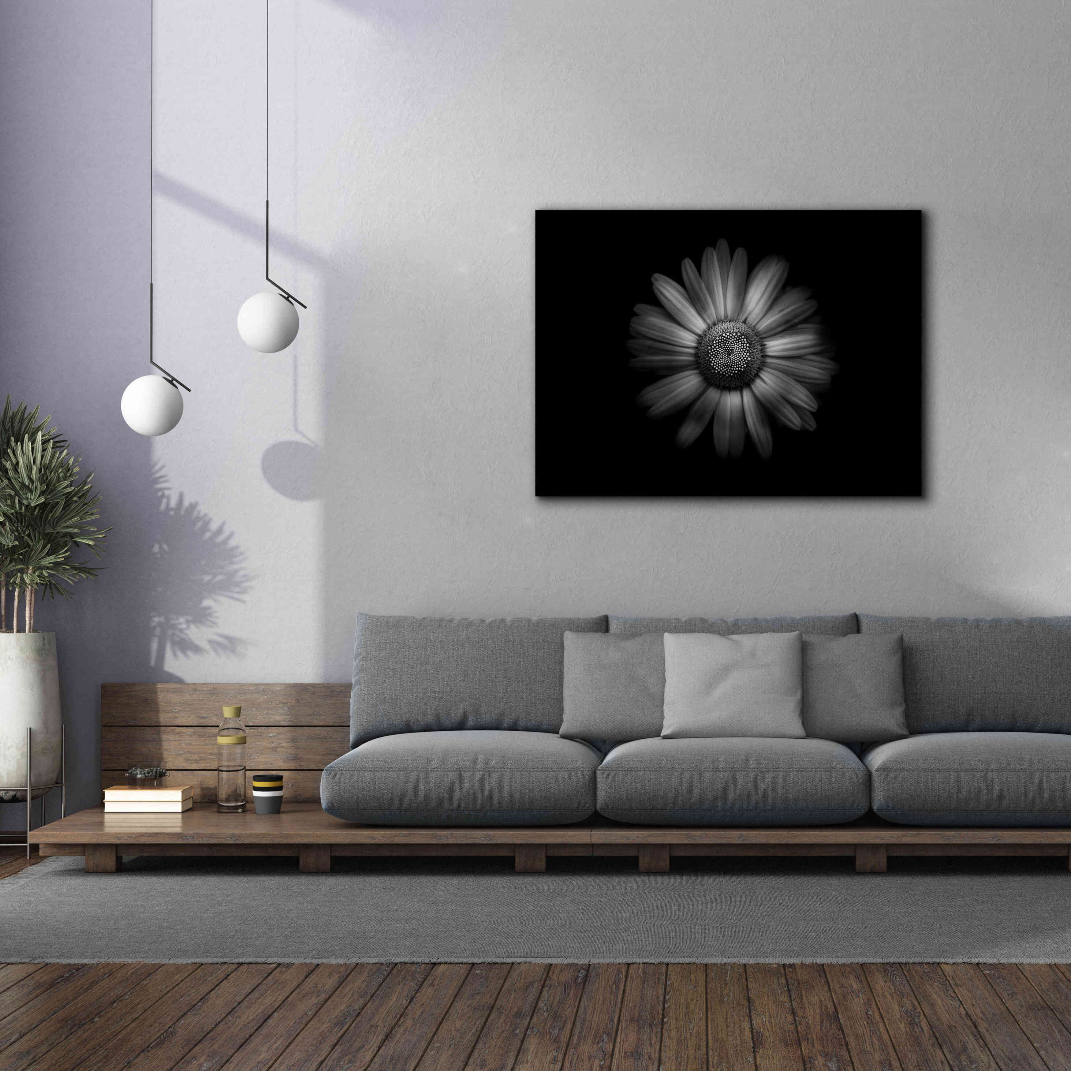 'Backyard Flowers In Black And White 31' by Brian Carson, Giclee Canvas Wall Art,54 x 40