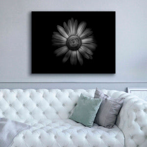 'Backyard Flowers In Black And White 31' by Brian Carson, Giclee Canvas Wall Art,54 x 40