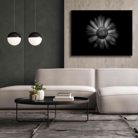Image of 'Backyard Flowers In Black And White 31' by Brian Carson, Giclee Canvas Wall Art,54 x 40