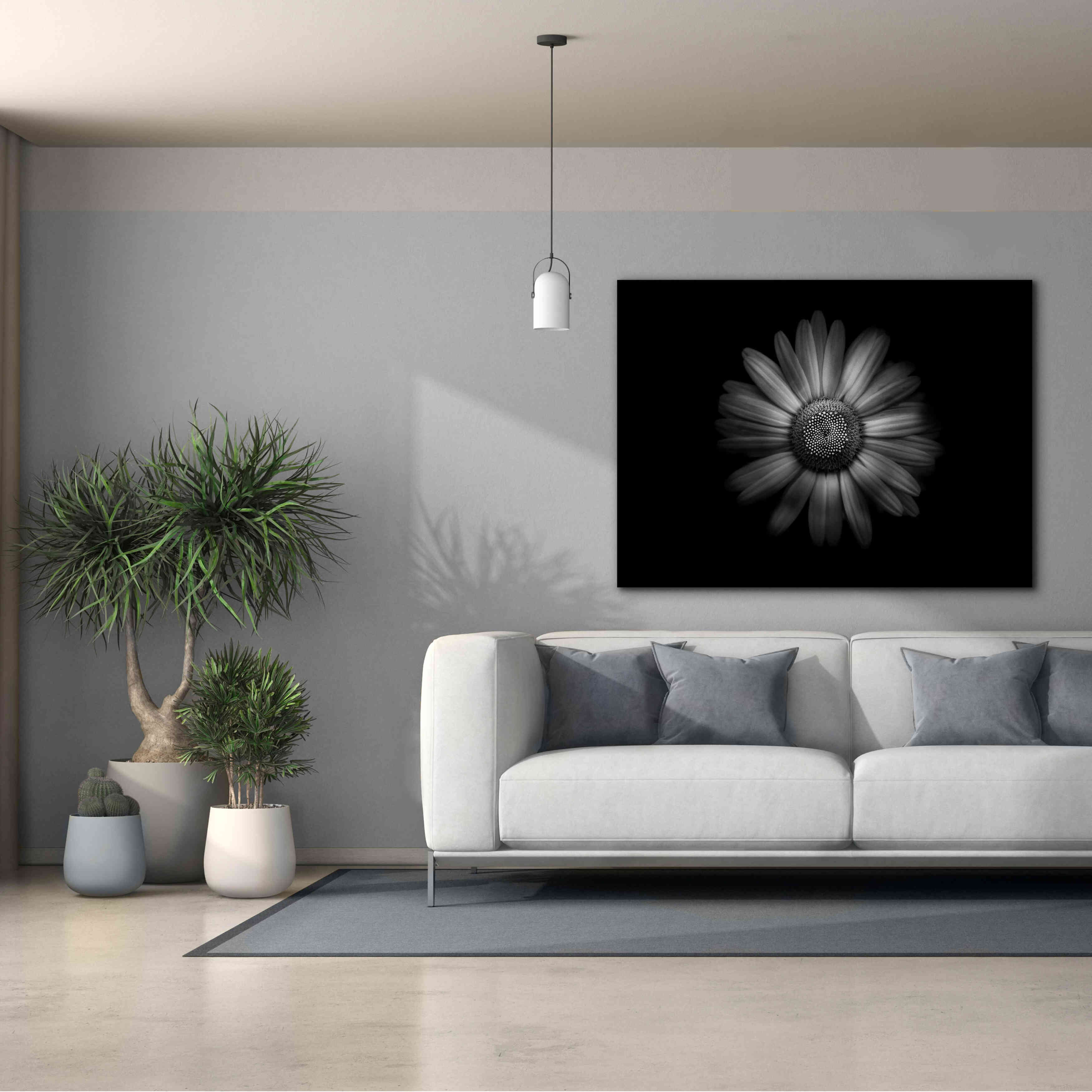 'Backyard Flowers In Black And White 31' by Brian Carson, Giclee Canvas Wall Art,54 x 40