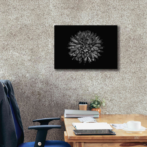 Image of 'Backyard Flowers In Black And White 45' by Brian Carson, Giclee Canvas Wall Art,26 x 18