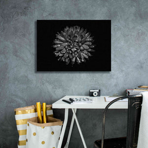 'Backyard Flowers In Black And White 45' by Brian Carson, Giclee Canvas Wall Art,26 x 18