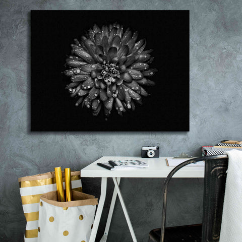 Image of 'Backyard Flowers In Black And White 45' by Brian Carson, Giclee Canvas Wall Art,34 x 26