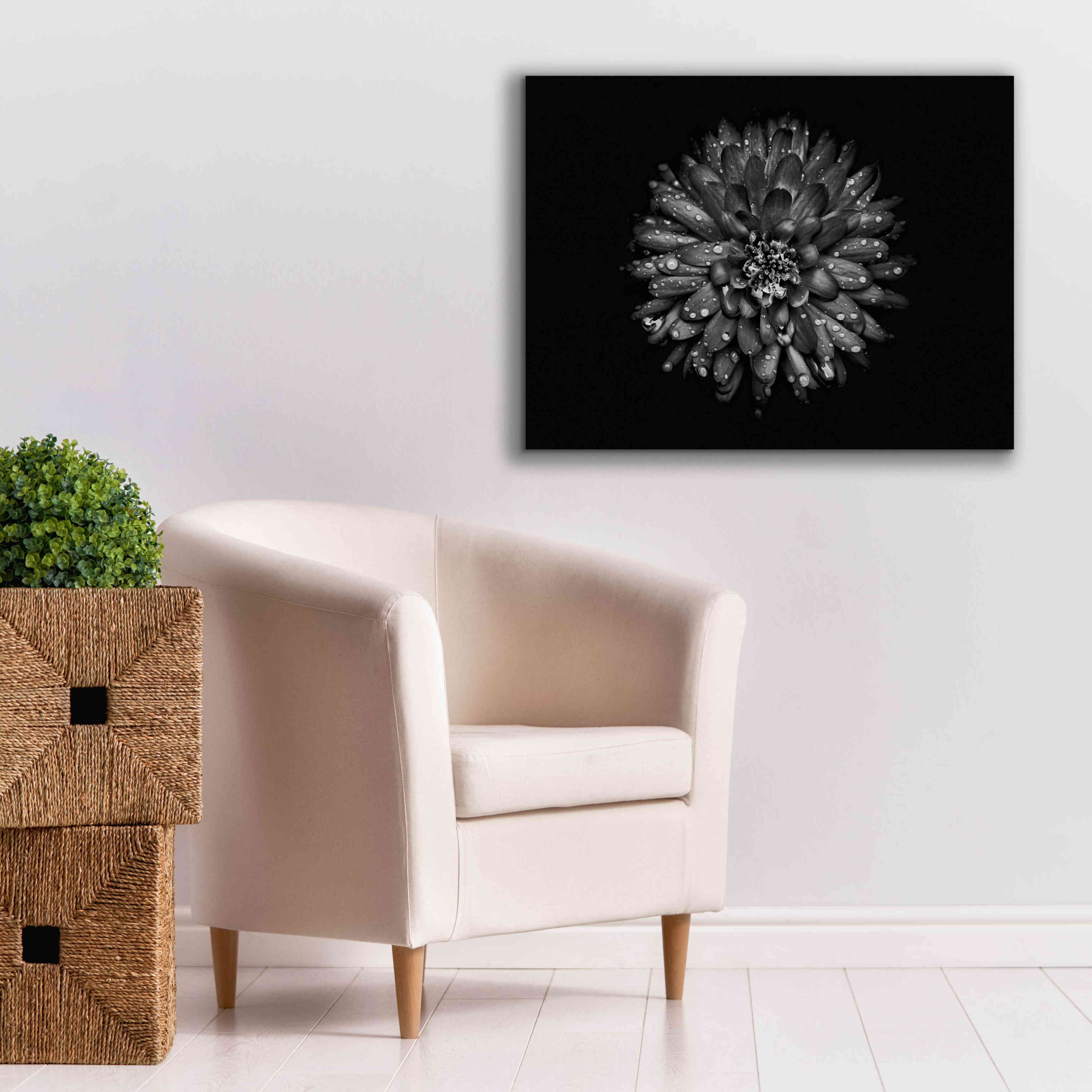 'Backyard Flowers In Black And White 45' by Brian Carson, Giclee Canvas Wall Art,34 x 26