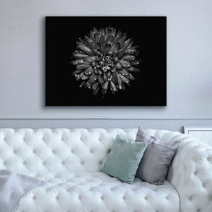 'Backyard Flowers In Black And White 45' by Brian Carson, Giclee Canvas Wall Art,54 x 40