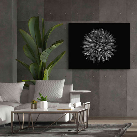 Image of 'Backyard Flowers In Black And White 45' by Brian Carson, Giclee Canvas Wall Art,54 x 40