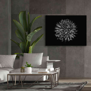 'Backyard Flowers In Black And White 45' by Brian Carson, Giclee Canvas Wall Art,54 x 40