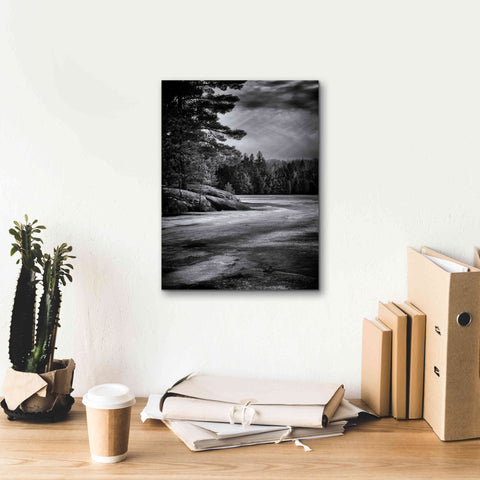 Image of 'Gullwing Lake No 4' by Brian Carson, Giclee Canvas Wall Art,12 x 16